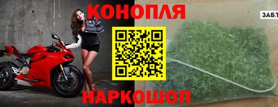 PSILOCYBIN Пугачёв