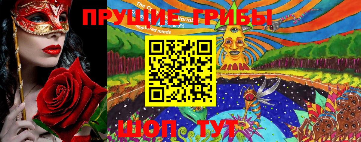 Псилоцибиновые грибы Psilocybe  Вход с VPN  Сатка 